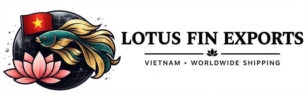 Lotus Fin Exports