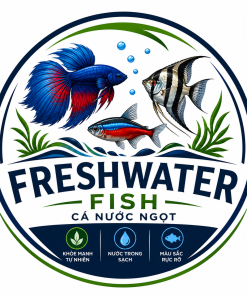 CÁ NƯỚC NGỌT