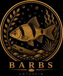 BARBS